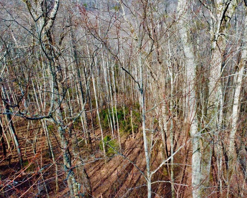 120 Croft Mountain Road Property Photo 3