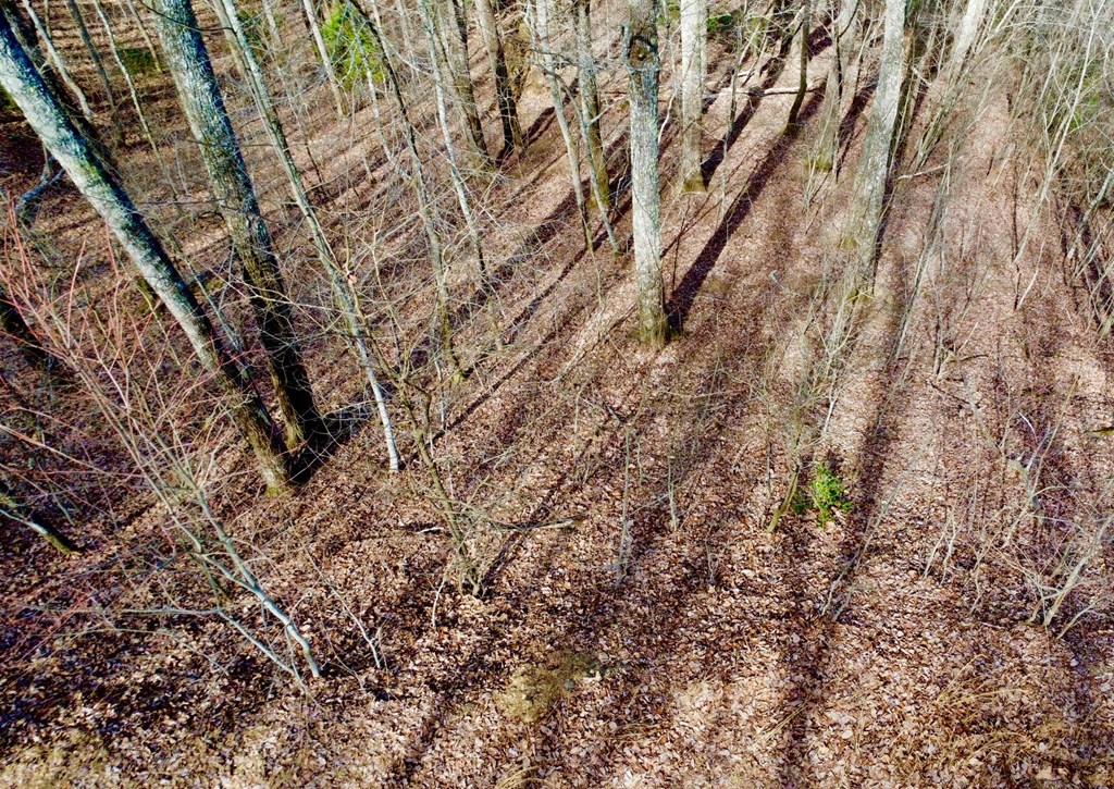 120 Croft Mountain Road Property Photo 7