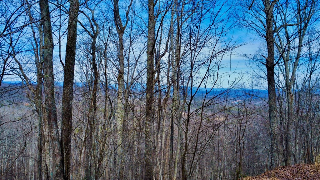 120 Croft Mountain Road Property Photo 9
