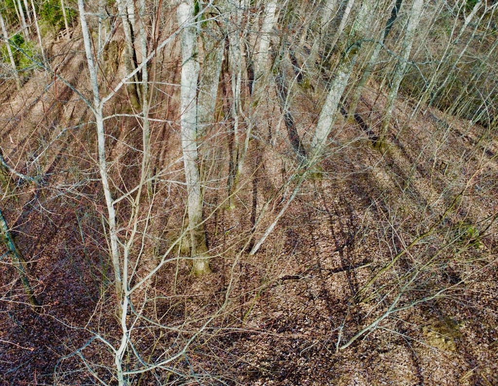 120 Croft Mountain Road Property Photo 14