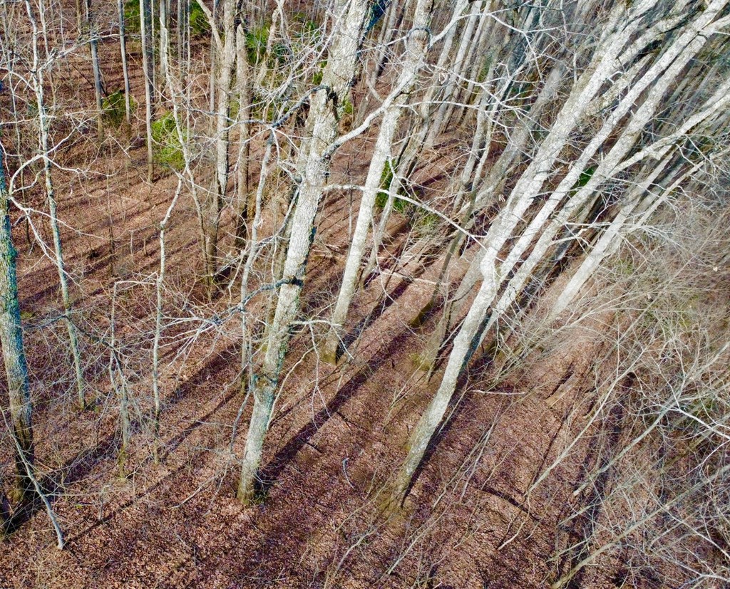 120 Croft Mountain Road Property Photo 15