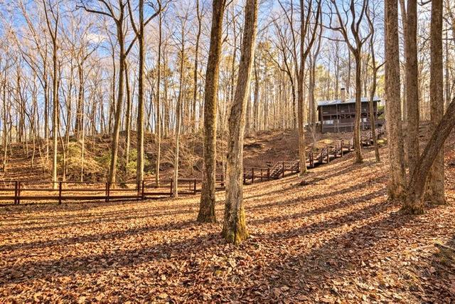 346 Rusty Lady Lane Property Photo 42