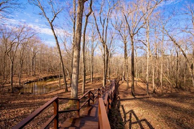 346 Rusty Lady Lane Property Photo 44