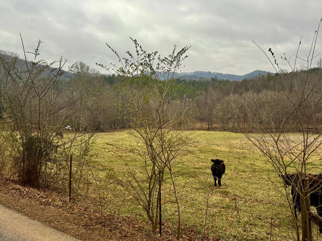 0 Hwy 68 Property Photo 1