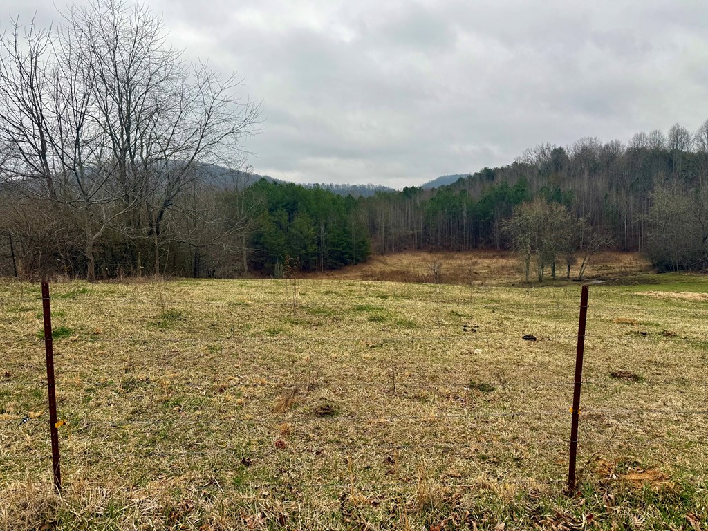0 Hwy 68 Property Photo 2
