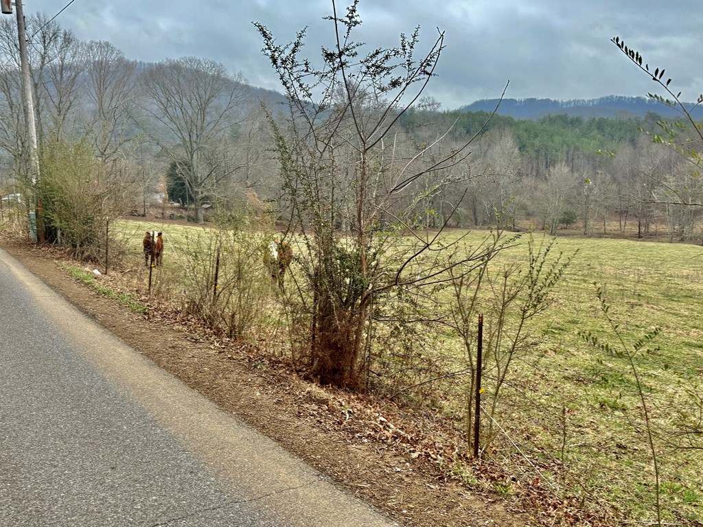 0 Hwy 68 Property Photo 8