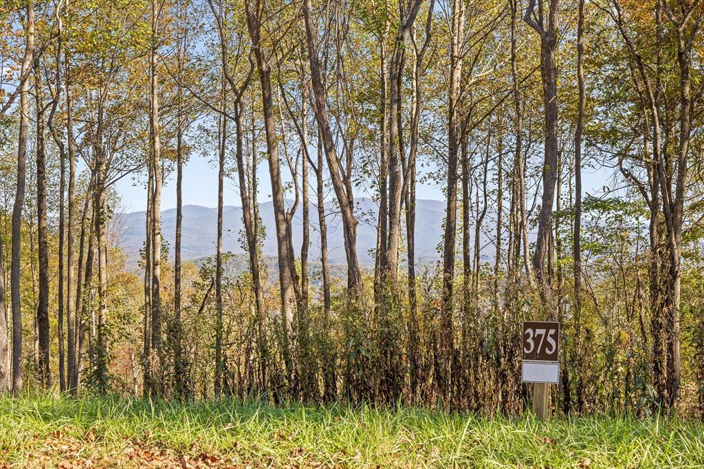 Lot 375 Calloway Mountain Road Property Photo 1