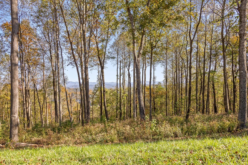 Lot 375 Calloway Mountain Road Property Photo 4