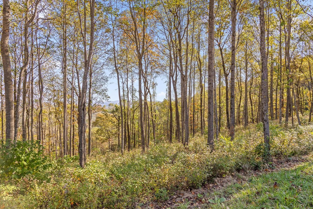 Lot 375 Calloway Mountain Road Property Photo 5