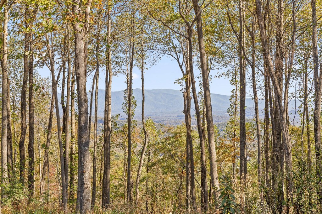 Lot 375 Calloway Mountain Road Property Photo 7