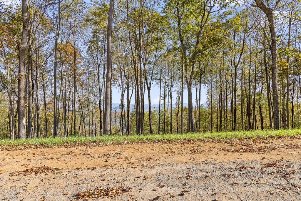 Lot 375 Calloway Mountain Road Property Photo 8