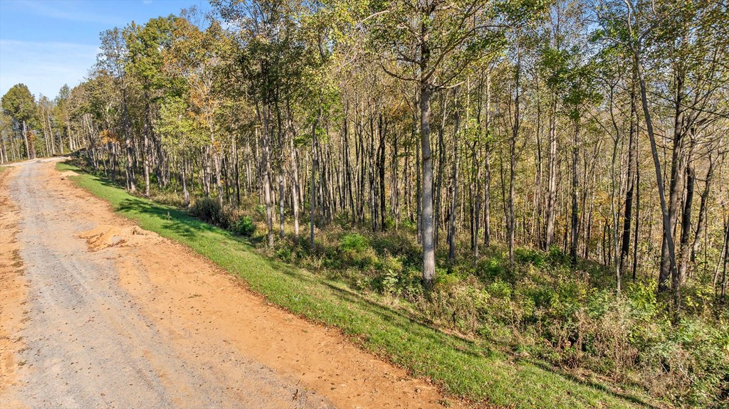 Lot 375 Calloway Mountain Road Property Photo 9