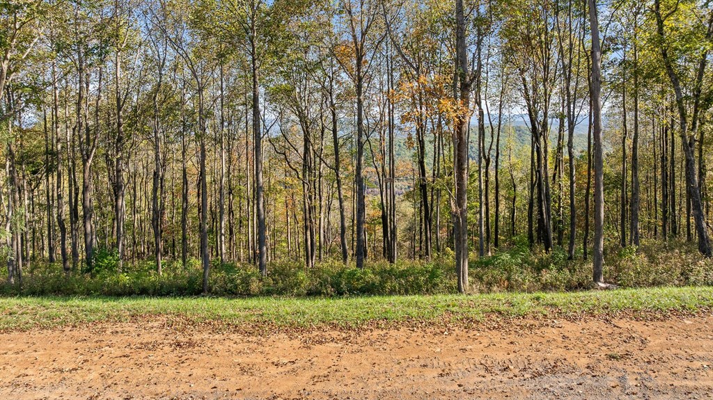 Lot 375 Calloway Mountain Road Property Photo 10