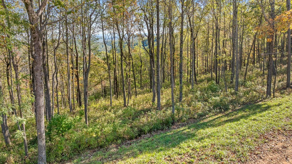 Lot 375 Calloway Mountain Road Property Photo 11