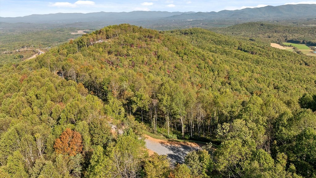 Lot 375 Calloway Mountain Road Property Photo 13