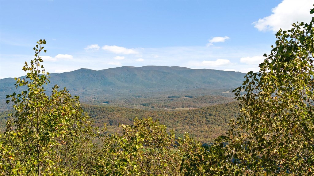 Lot 375 Calloway Mountain Road Property Photo 15