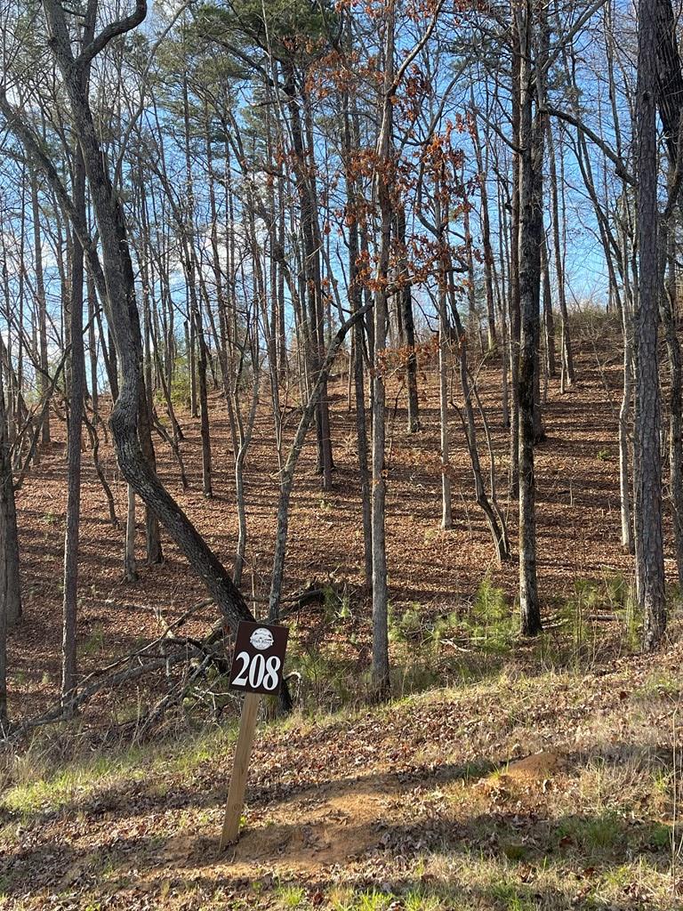 Lot# 208 Pinnacle Drive Property Photo 4
