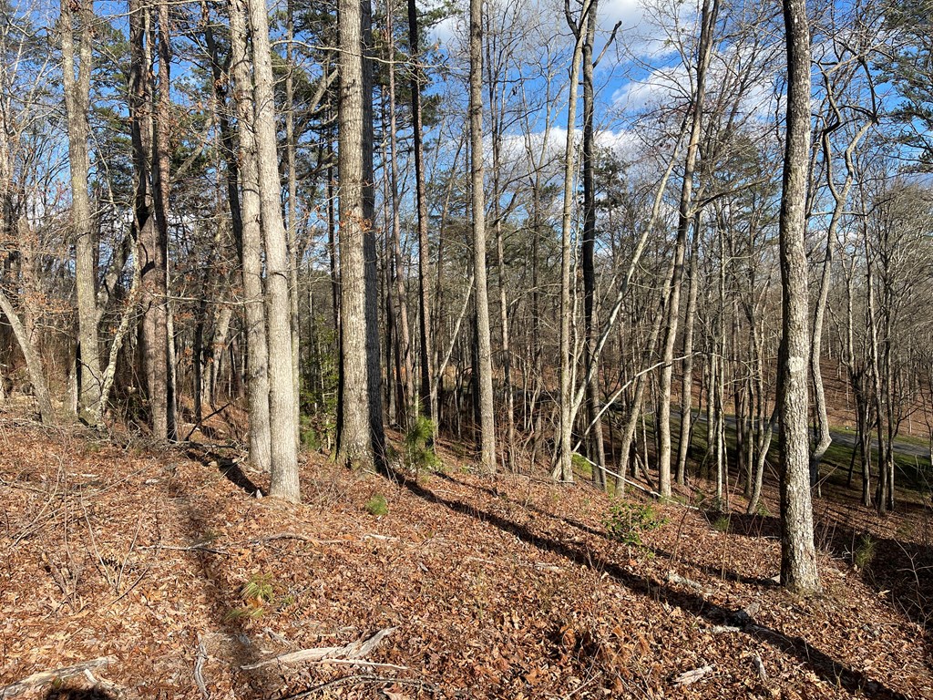 Lot# 208 Pinnacle Drive Property Photo 6