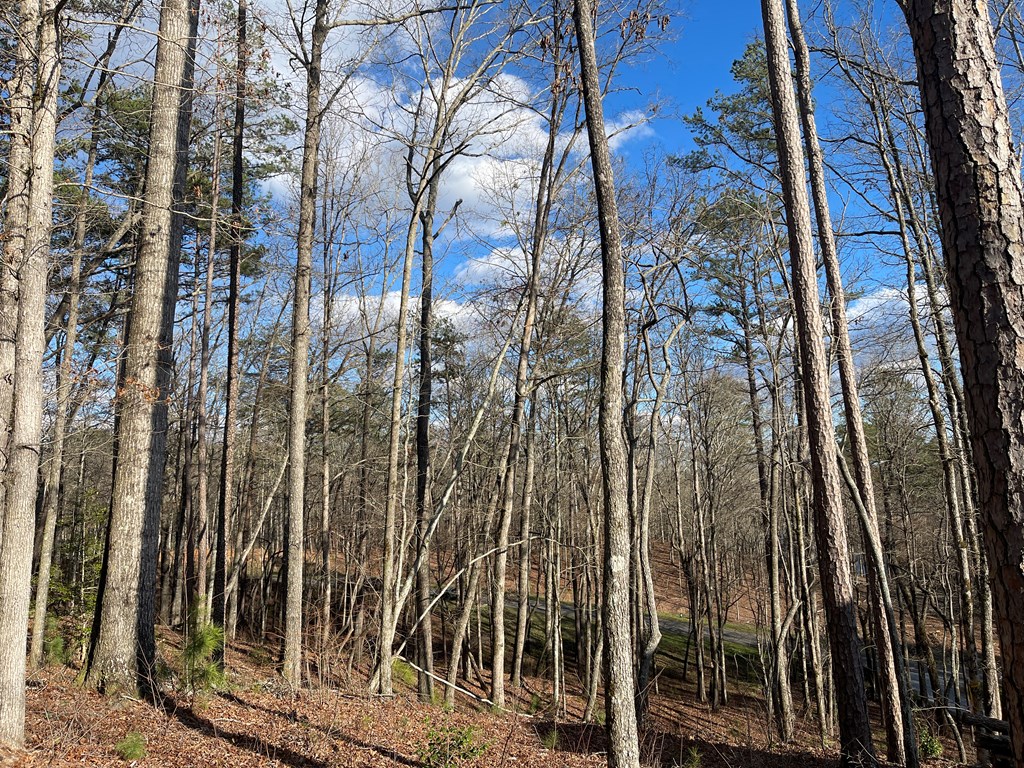 Lot# 208 Pinnacle Drive Property Photo 7