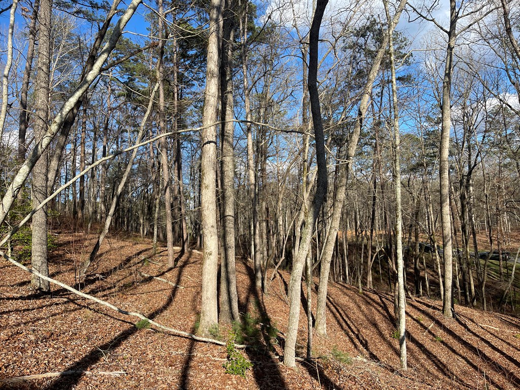 Lot# 208 Pinnacle Drive Property Photo 8