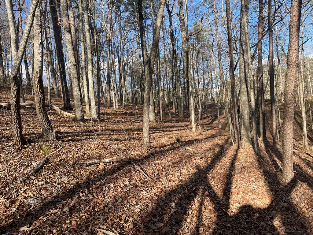 Lot# 208 Pinnacle Drive Property Photo 11