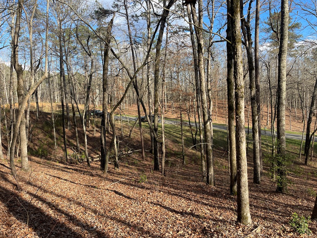 Lot# 208 Pinnacle Drive Property Photo 13