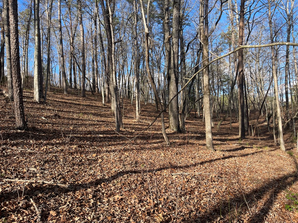 Lot# 208 Pinnacle Drive Property Photo 14