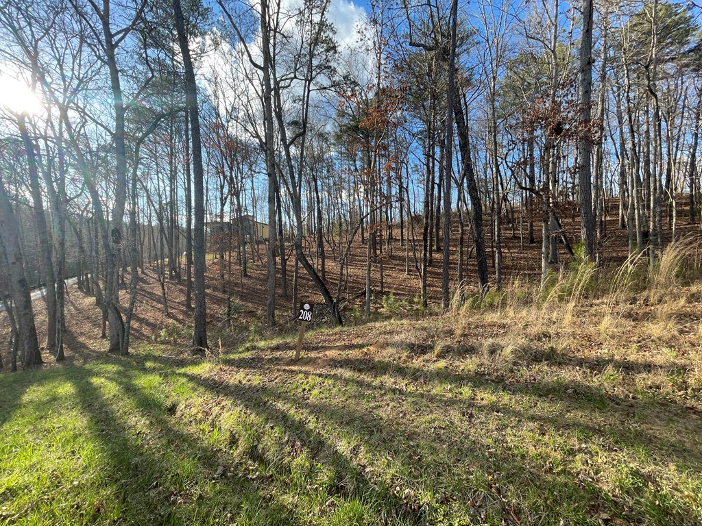 Lot# 208 Pinnacle Drive Property Photo 15