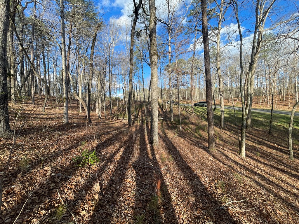 Lot# 208 Pinnacle Drive Property Photo 16