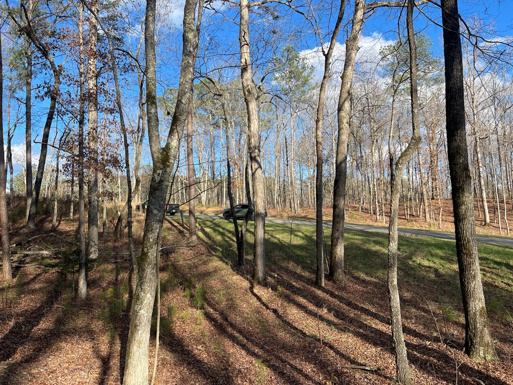 Lot# 208 Pinnacle Drive Property Photo 19