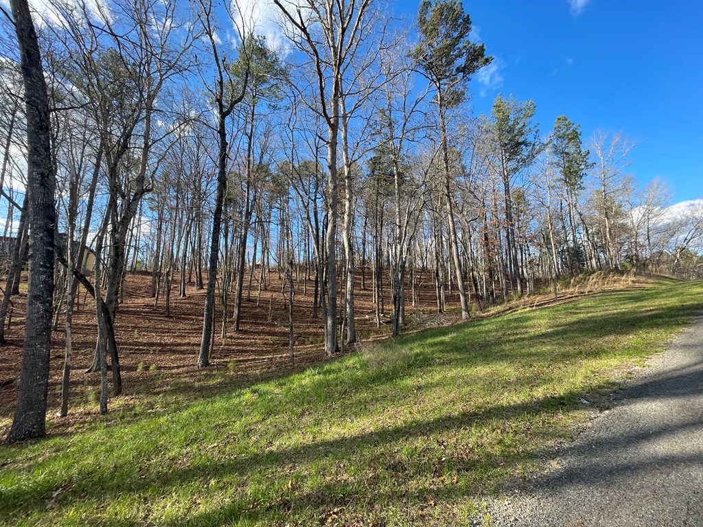 Lot# 208 Pinnacle Drive Property Photo 20
