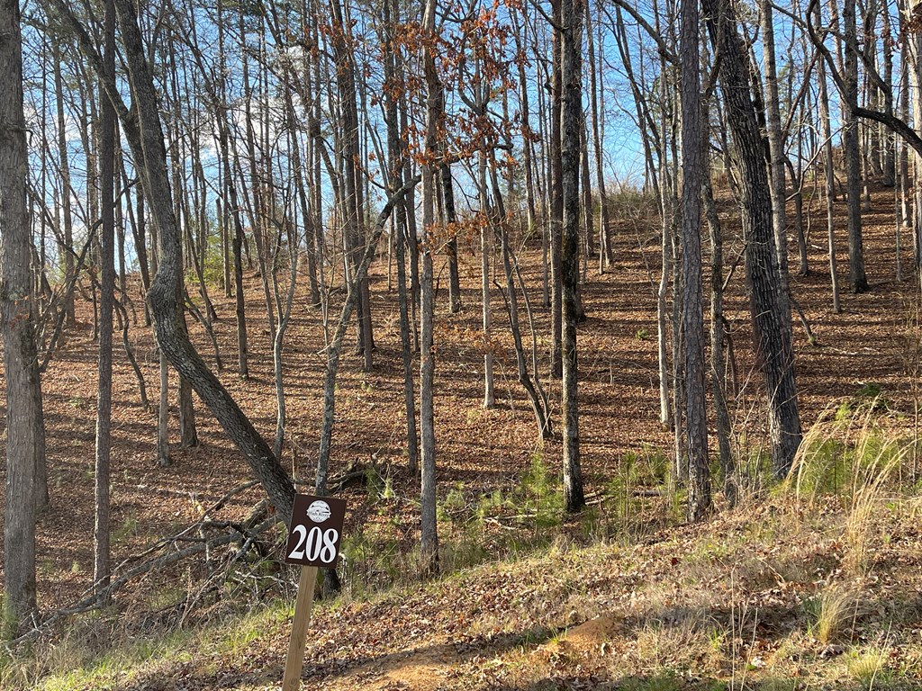 Lot# 208 Pinnacle Drive Property Photo 23