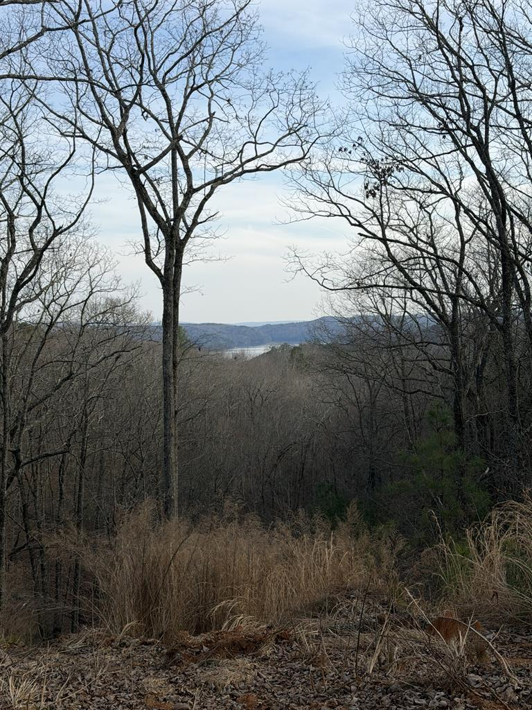 439 Buck Creek Road Property Photo 1
