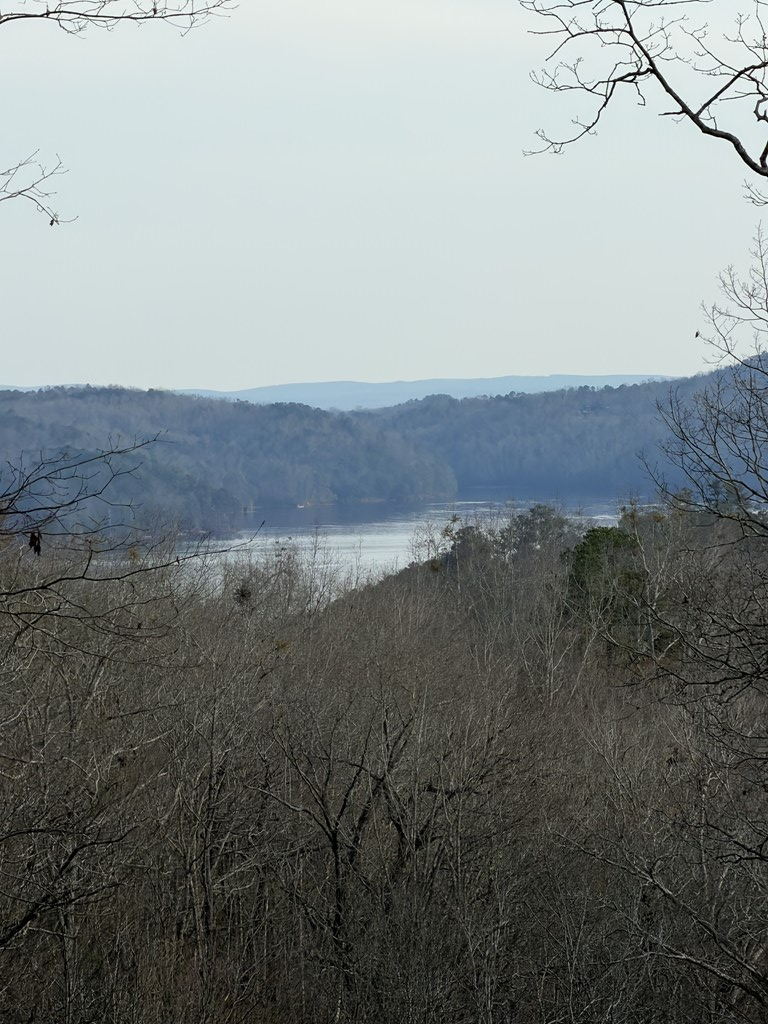 439 Buck Creek Road Property Photo 2