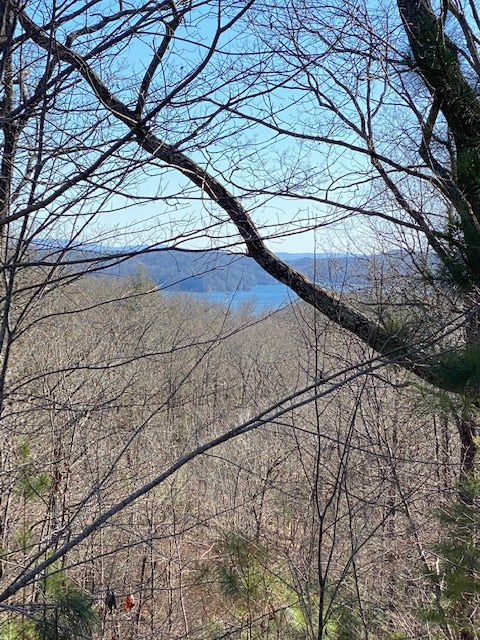 439 Buck Creek Road Property Photo 3