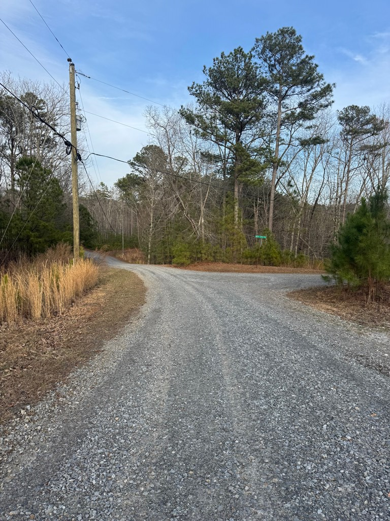 439 Buck Creek Road Property Photo 4