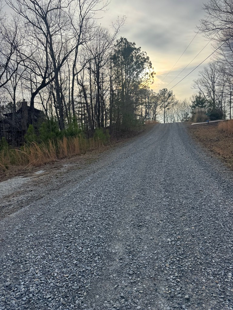 439 Buck Creek Road Property Photo 5