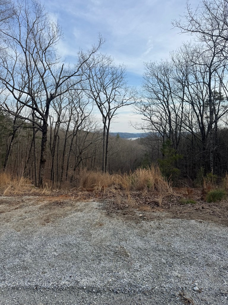 439 Buck Creek Road Property Photo 6