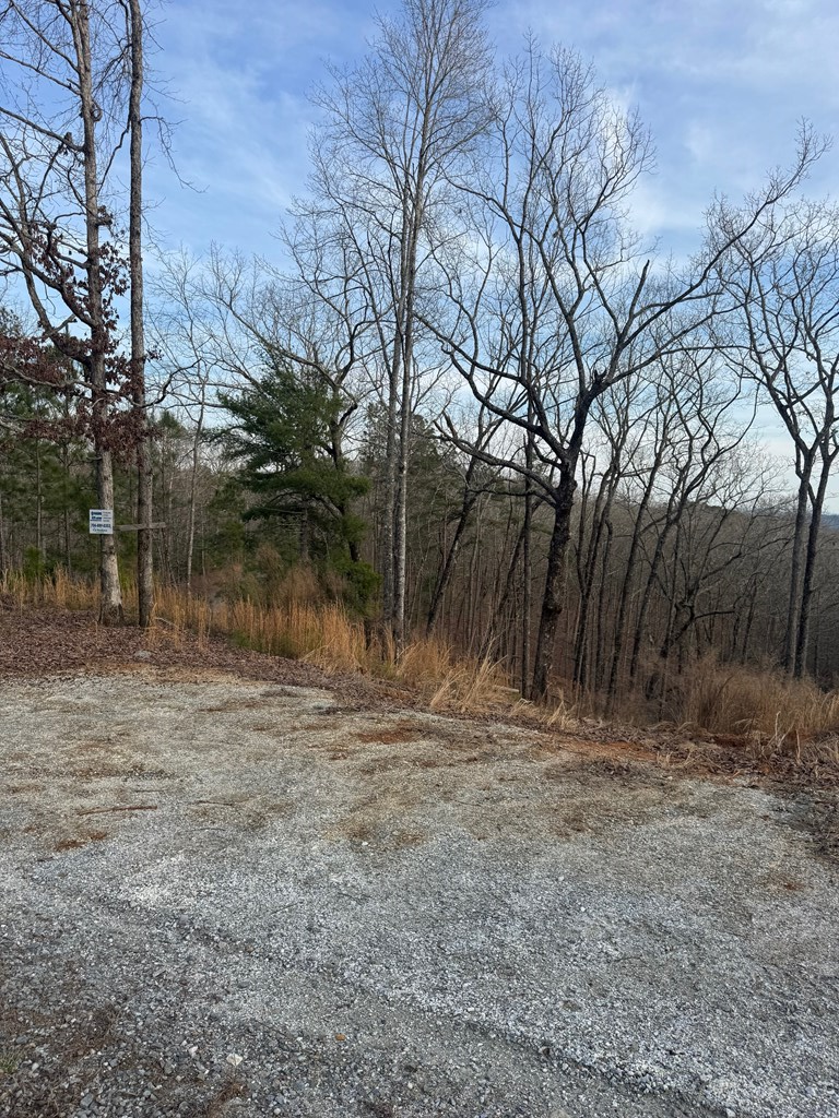 439 Buck Creek Road Property Photo 7