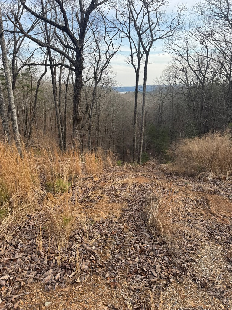 439 Buck Creek Road Property Photo 8