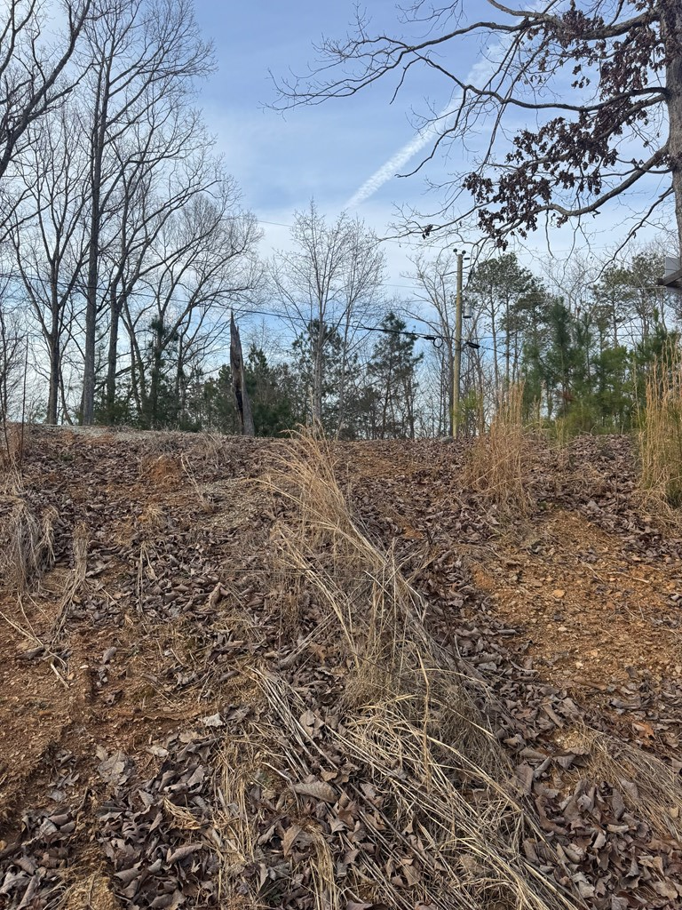 439 Buck Creek Road Property Photo 9