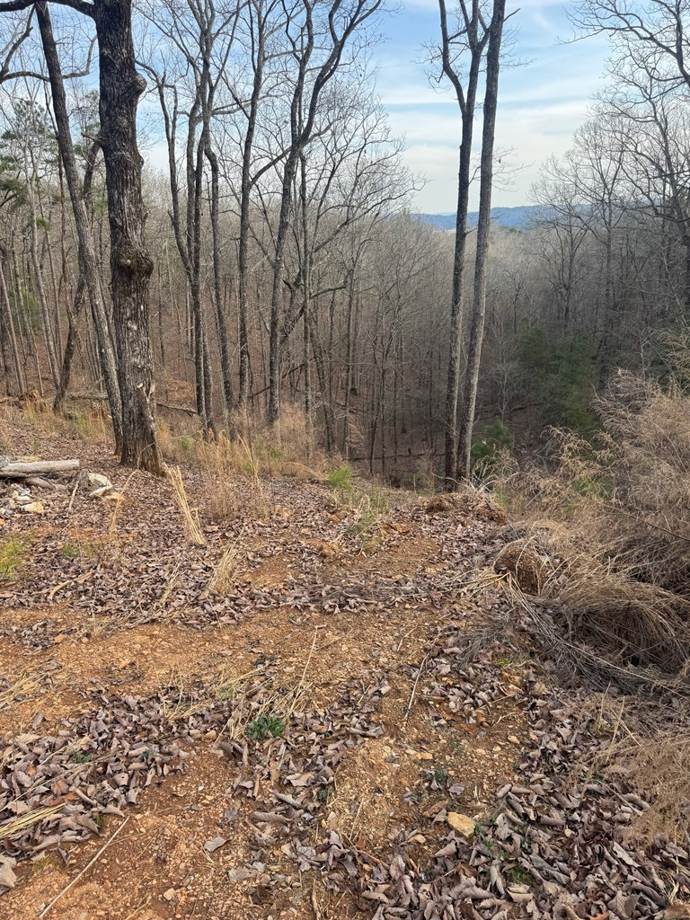 439 Buck Creek Road Property Photo 10
