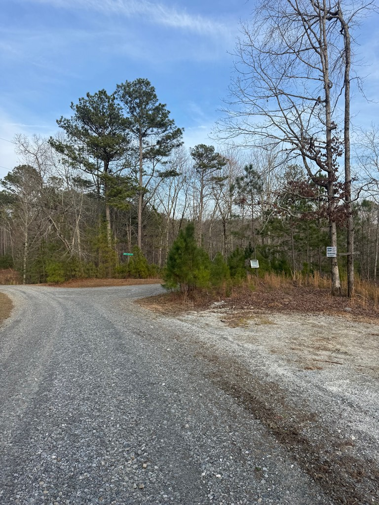 439 Buck Creek Road Property Photo 12