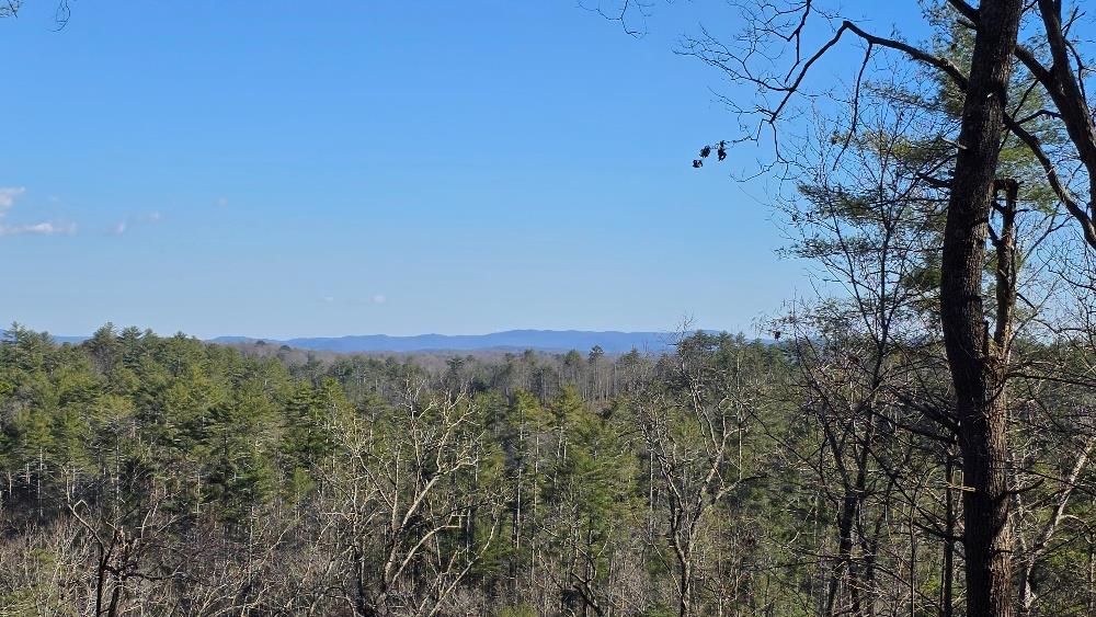 153 Red Oak Trail Property Photo 4