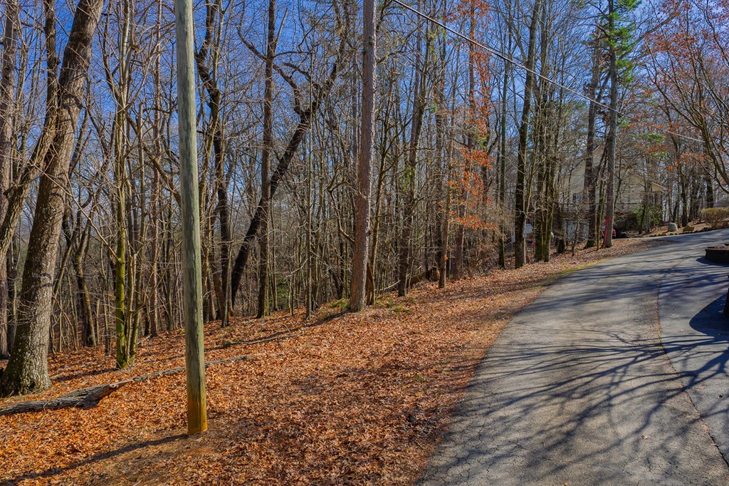 Lot 55 Timberwalk Drive Property Photo 2