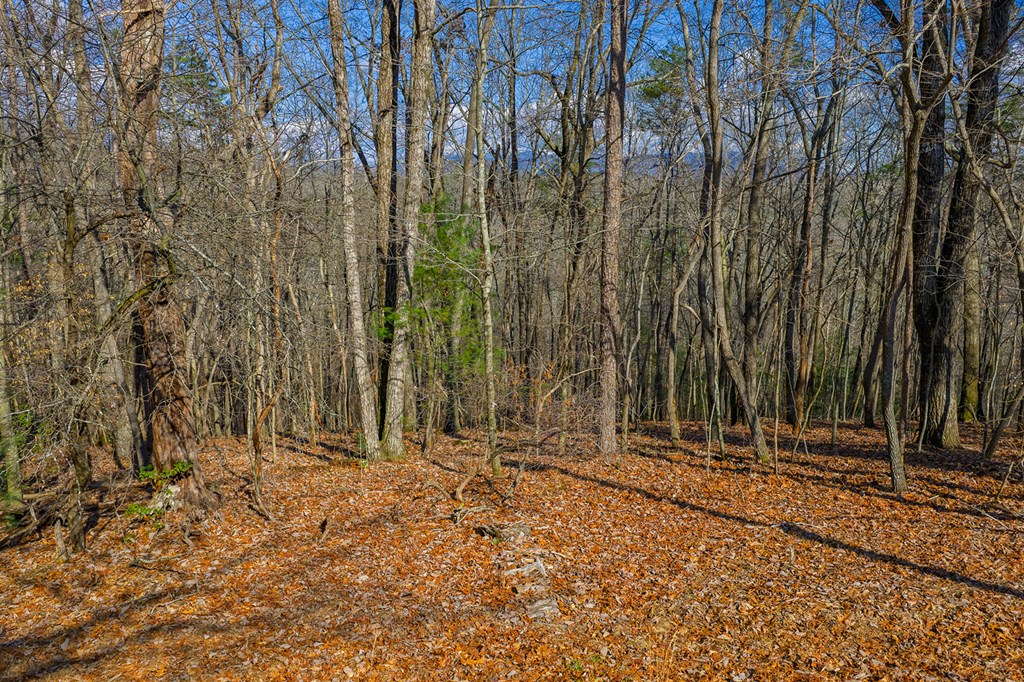 Lot 55 Timberwalk Drive Property Photo 3