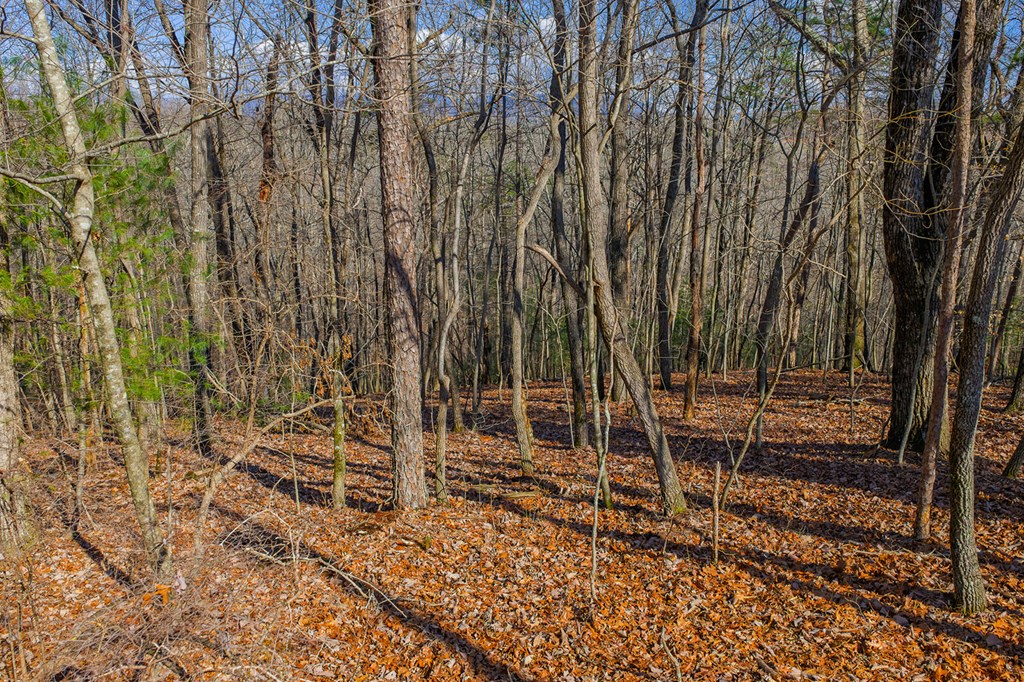 Lot 55 Timberwalk Drive Property Photo 5