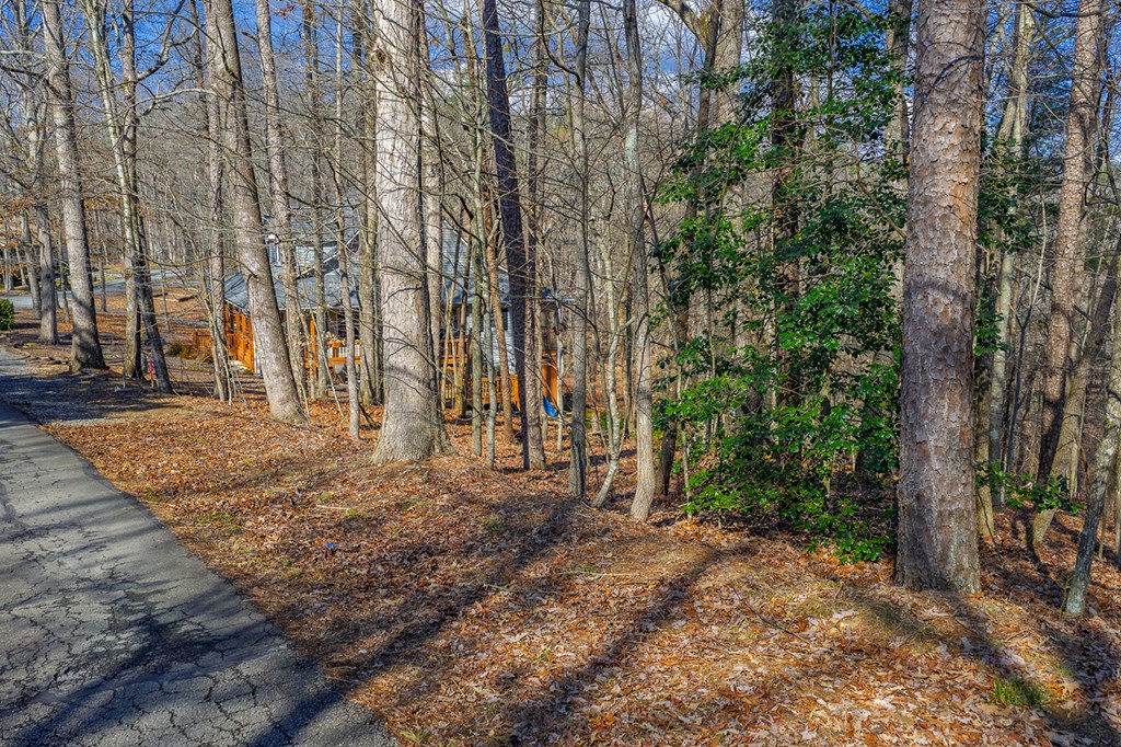 Lot 55 Timberwalk Drive Property Photo 6