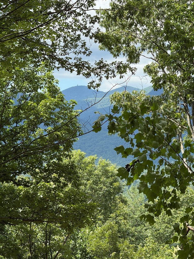 Lot 3 Whiskey Mountain Estates Property Photo 5