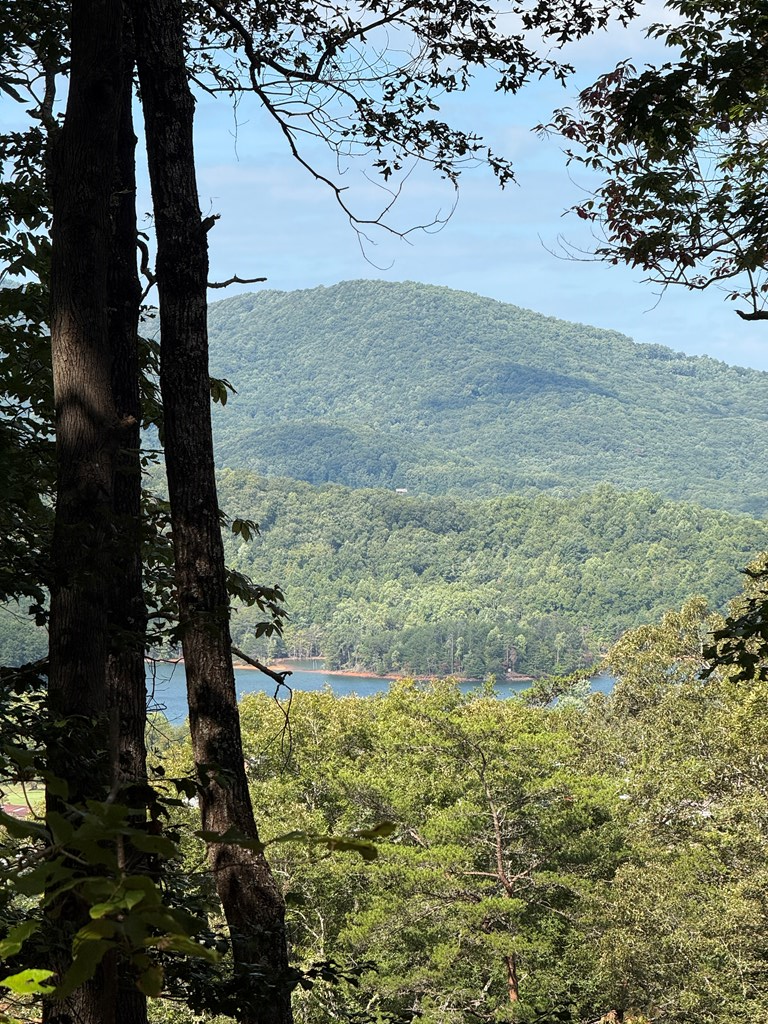 Lot 3 Whiskey Mountain Estates Property Photo 7